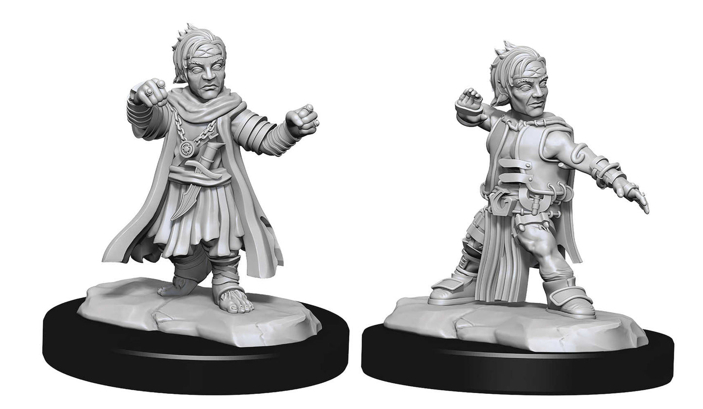 Pathfinder Deep Cuts Mini Halfing Monk Male